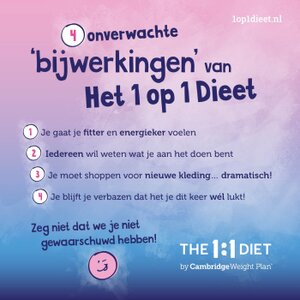 Het 1:1 dieet Koog aan de Zaan logo