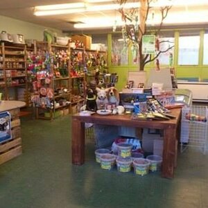 Hond en Kat aan de Zaan image 1