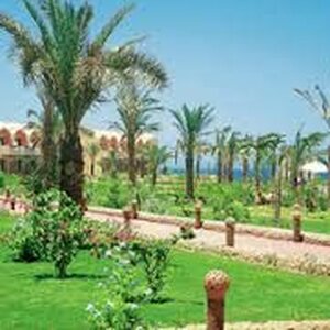 Vakantiestunt B.V. image 1