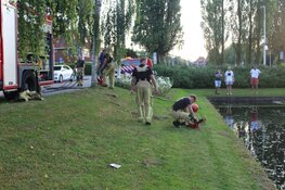 Vissen komen boven drijven in Amstelveense sloot