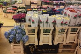 Burggraaf Zeilmakerij is op zoek naar een: Productiemedewerker m/v Fulltime (40 uur)