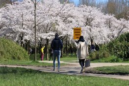 Opnieuw drukte in Bloesempark