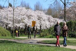 Opnieuw drukte in Bloesempark