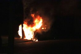 Auto in brand na botsing tegen boom