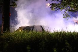 Auto in brand na botsing tegen boom