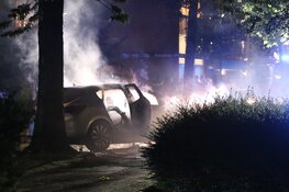 Auto in brand na botsing tegen boom