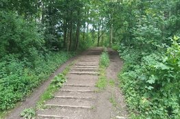 Politie zoekt getuigen in Amsterdamse Bos