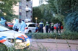 'Flinke vechtpartij in Amstelveen'