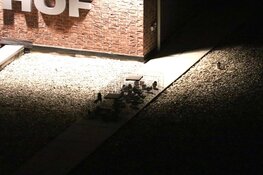 Hulpdiensten vinden vogels in illegale vangkooien op dak van winkelcentrum