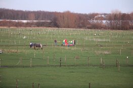 Persoon krijgt trap van paard op manege in Aalsmeer
