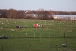 Persoon krijgt trap van paard op manege in Aalsmeer