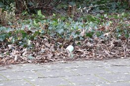 Rookgranaat aangetroffen in Amstelveen