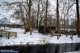 Winterse zondag in beeld