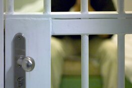 Drugs via postpakketten: Verdachten in bewaring