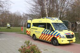Kind uit boom gevallen in Amstelveen