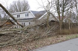 Woning in Amstelveen loopt lichte schade op door omgevallen boom