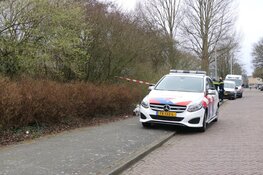 Vuurwapen gevonden in bosjes in Amstelveen