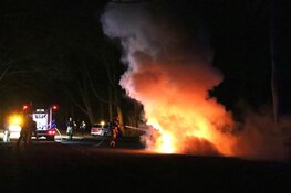 Vlammen in Amsterdamse Bos: auto in brand