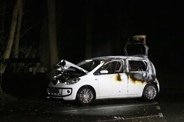 Vlammen in Amsterdamse Bos: auto in brand
