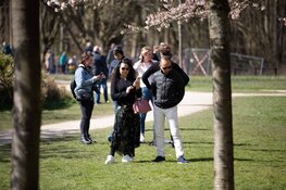 Drukte in Bloesempark Amstelveen
