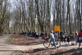 Drukte neemt toe in Bloesempark (Amsterdamse Bos)