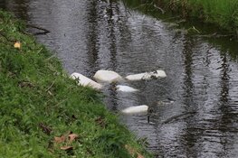 Drugsafval gedumpt bij speelboerderij