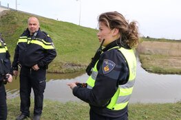 Meerkoetje "Willempie" door hulpdiensten gered