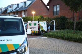 Dierenambulance ter plaatse voor gewonde zwaan in Amstelveen
