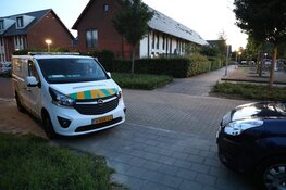 Dierenambulance ter plaatse voor gewonde zwaan in Amstelveen