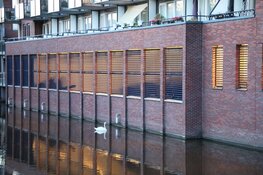 Dierenambulance ter plaatse voor gewonde zwaan in Amstelveen