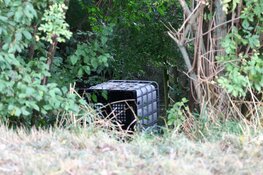 Vermoedelijk drugsafval aangetroffen in Amstelveen