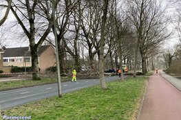 Fotoalbum: Noord-Holland in de greep van storm Eunice