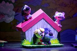 Woezel & Pip komen met vrolijk muziekspektakel naar het theater!