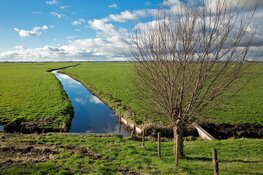Unieke wandeling door Ronde Hoep