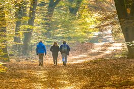 Dinsdag 11 oktober gaat de 11 parkentocht, editie najaar 2022, van start