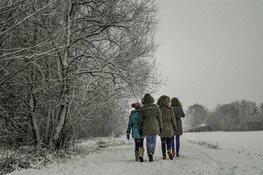 Dinsdag 10 januari gaan de Snertwandelingen van start