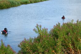 Melding van auto te water in Amstelveen