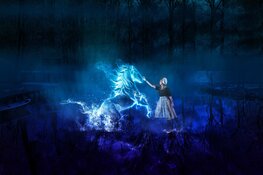 Jubileumeditie Zuiderzeelicht schijnt betoverend licht op Volendam