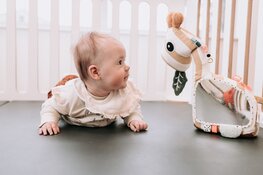 Blub, Zegt De Vis in Amstelveen gaat verder als Speel-Inn Kinderopvang