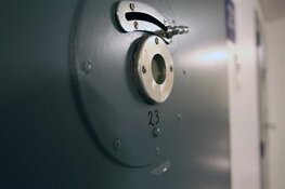 OM eist vijf maanden celstraf voor ongeregeldheden bij Eritrees feest in Amstelveen