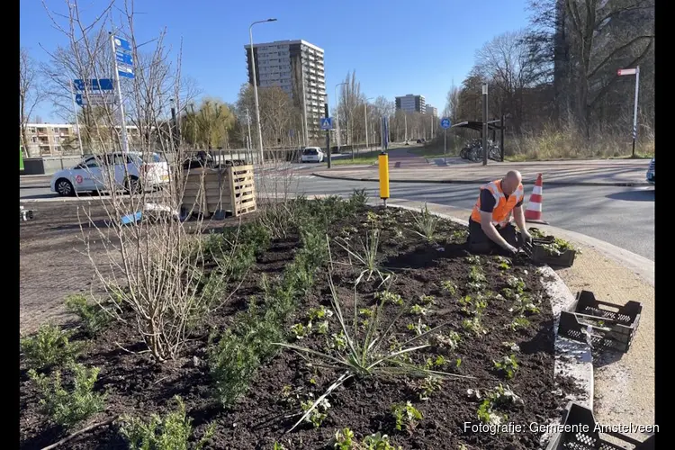 Groene rotondes Beneluxbaan bijna gereed