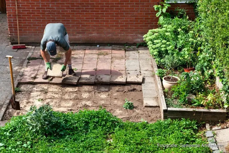 Vervang tegels uit uw tuin door groen
