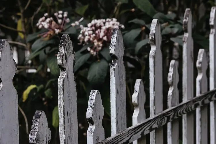 Wat zijn de regels voor het aanleggen van een tuin bij je eengezinswoning?