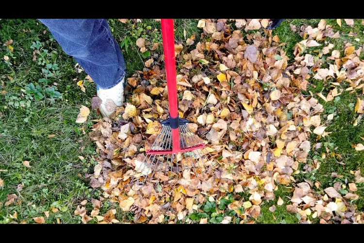 Start opruimen herfstbladeren