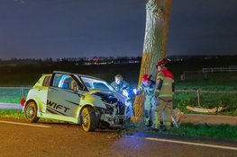 Auto ramt boom in Amstelveen, brandweer moet bestuurder bevrijden