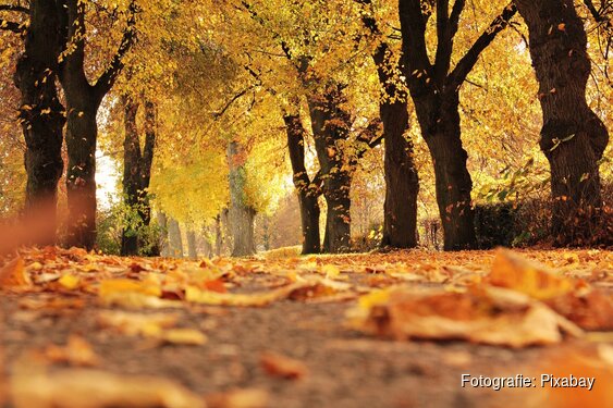 Wisselvallig weekend, daarna tijdelijk droger en zachter
