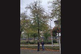 Vinders van nesten van de Geelpoothoornaar worden beloond